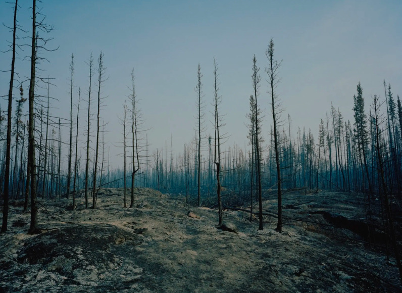 New York Times photo: A spot along the edge of the fire that stopped just before reaching Yellowknife.