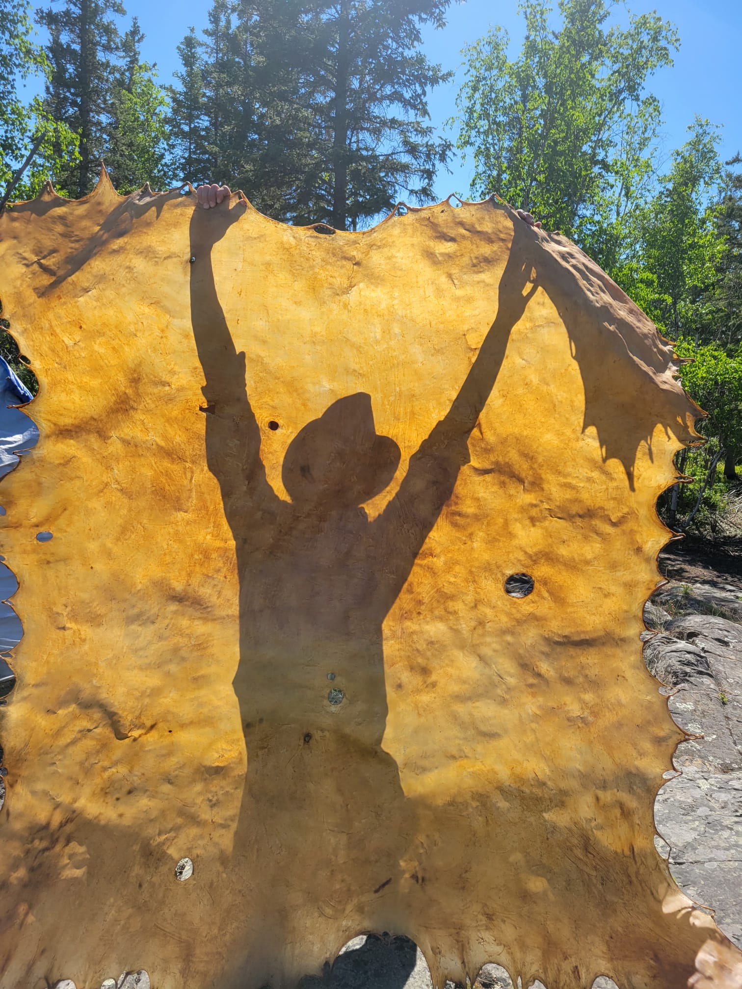 Shadow of person behind tanned animal hide held aloft