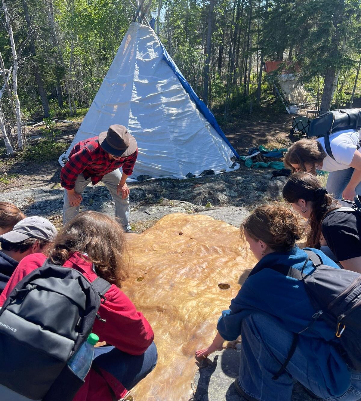 Students examine tanned animal hide outside of canvas tent