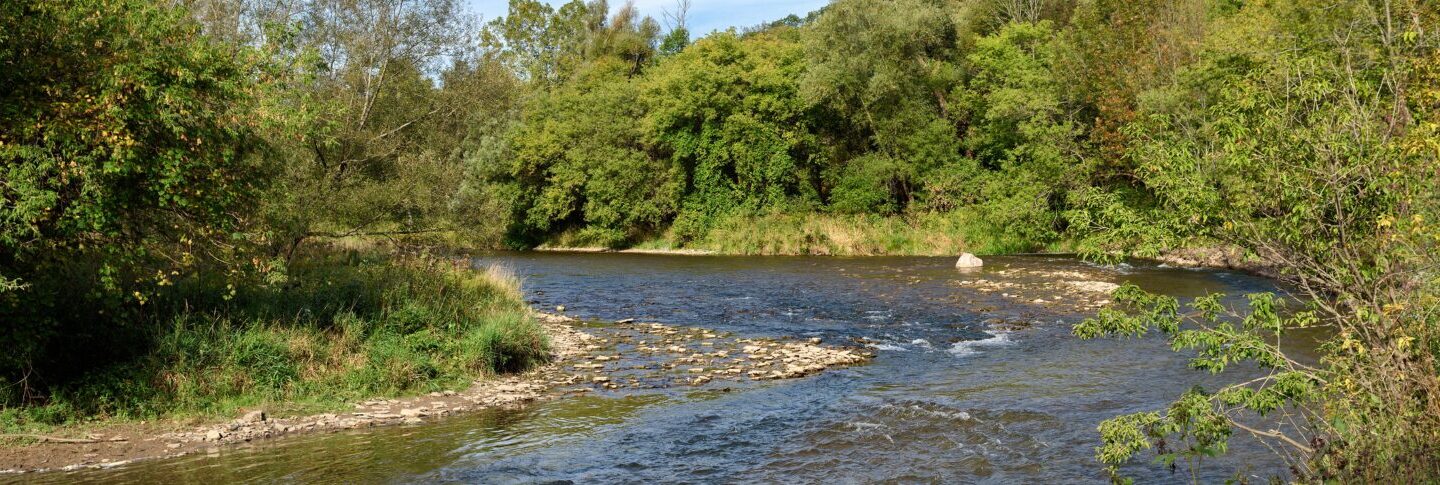 The Credit River